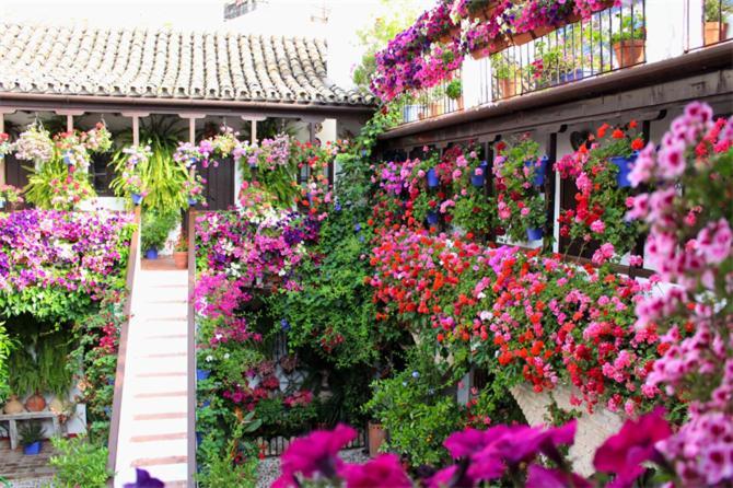 Apartamentos Los Patios De San Agustin Córdoba Eksteriør bilde